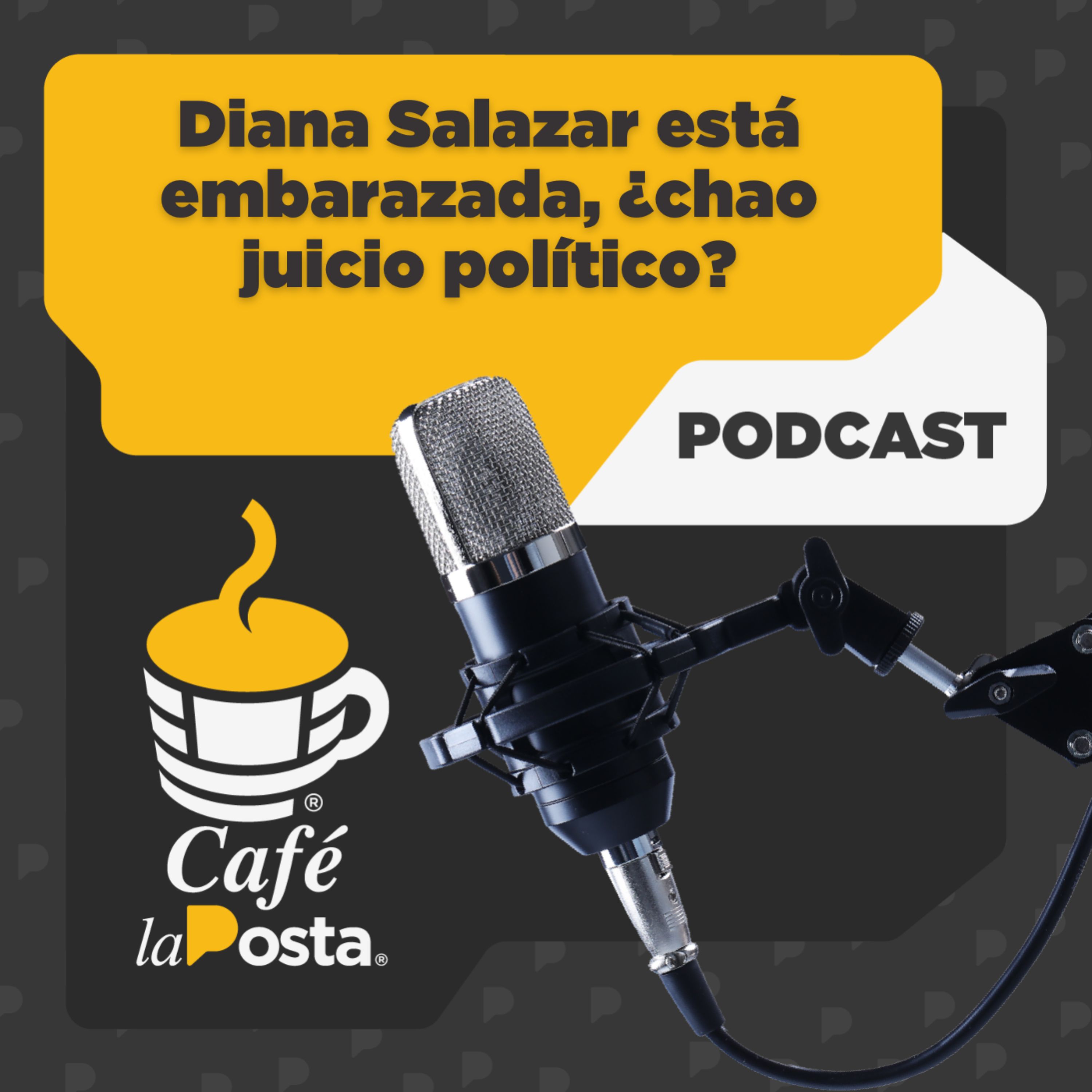 17/MAY: Diana Salazar está embarazada, ¿chao juicio político?