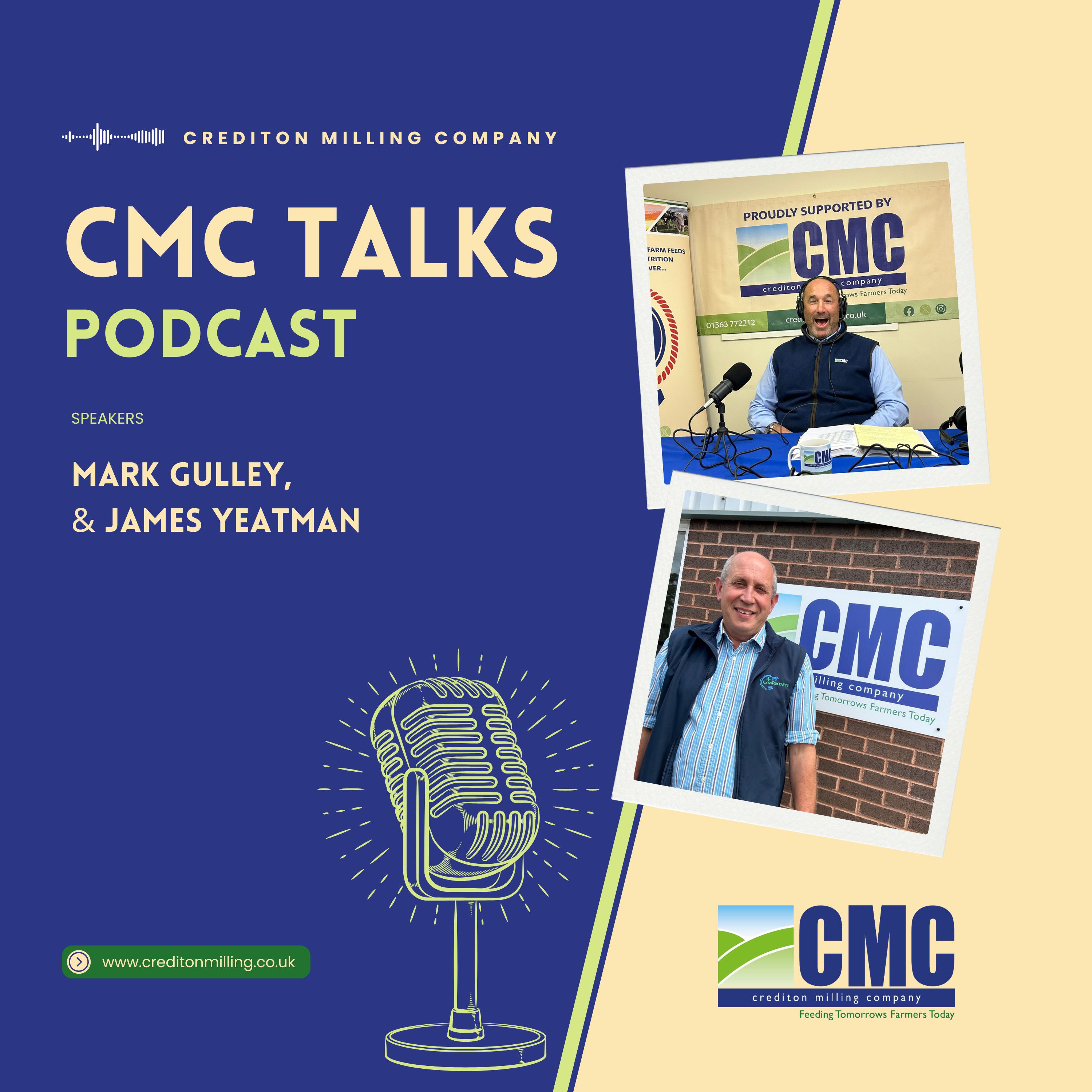 CMC Talks