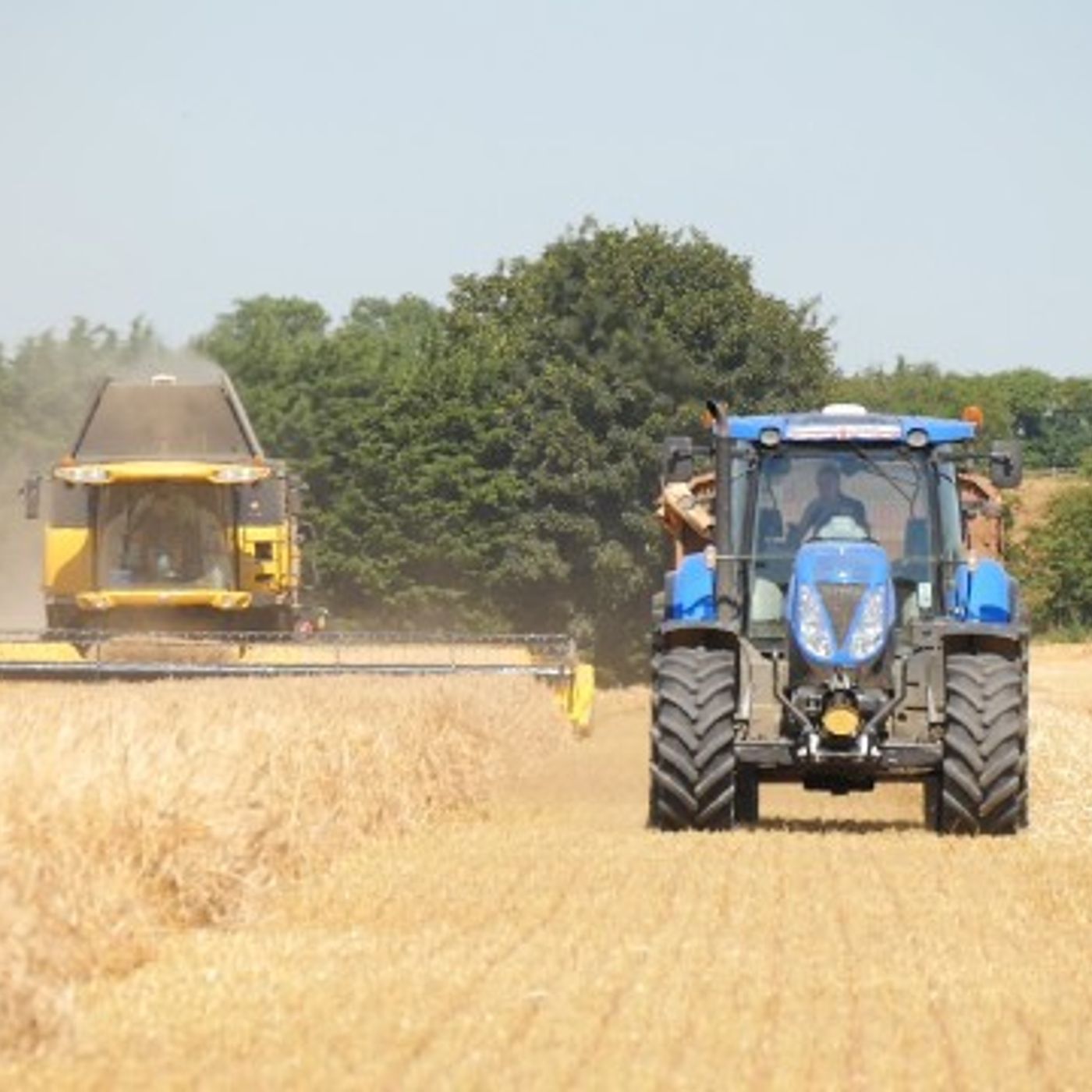 5: Combine Time: the history of harvest