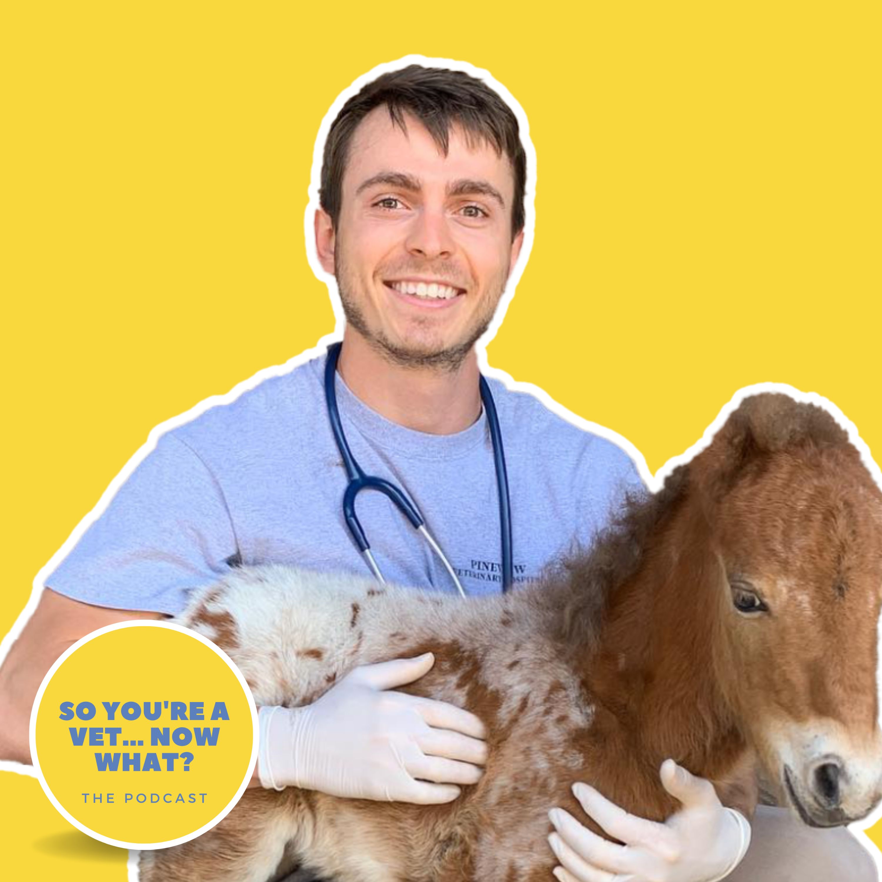The \'So You\'re A Vet... Now What?\' Podcast
