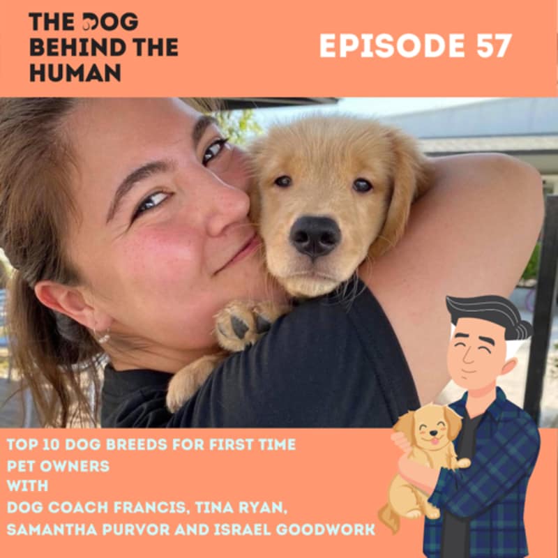 Artwork for podcast The Dog Behind The Human