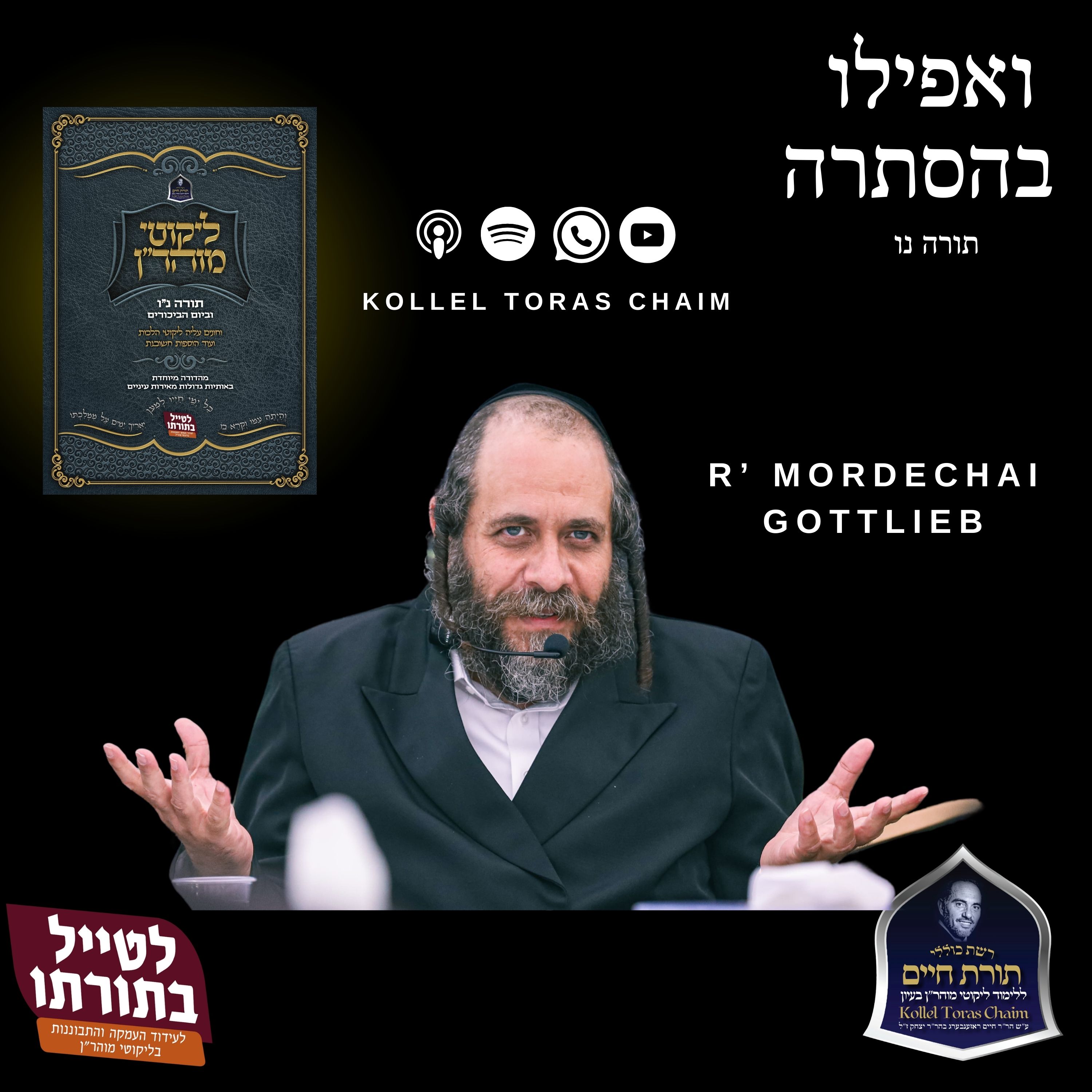 R' Mordechai Gottlieb Torah 56 (3) The Malchus of a Yid