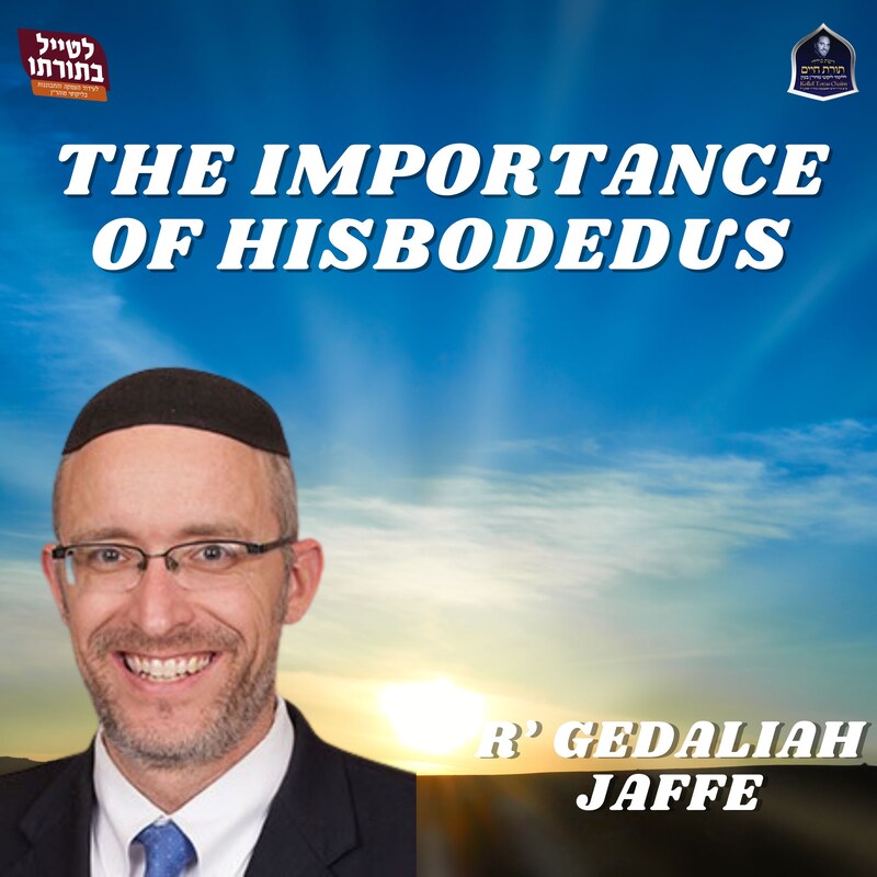 Artwork for podcast Kollel Toras Chaim All Shiurim