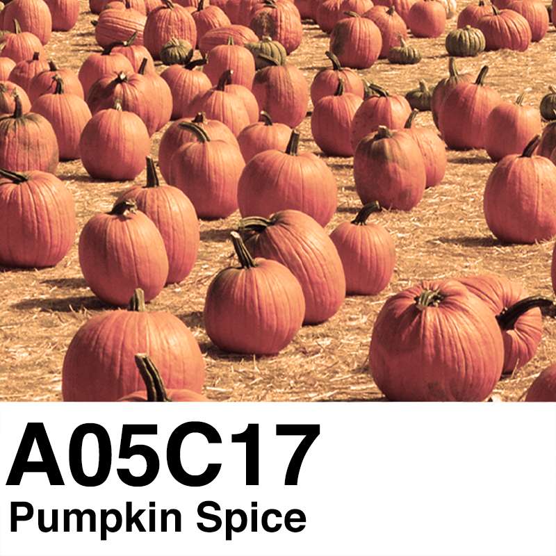 #A05C17 - Pumpkin Spice