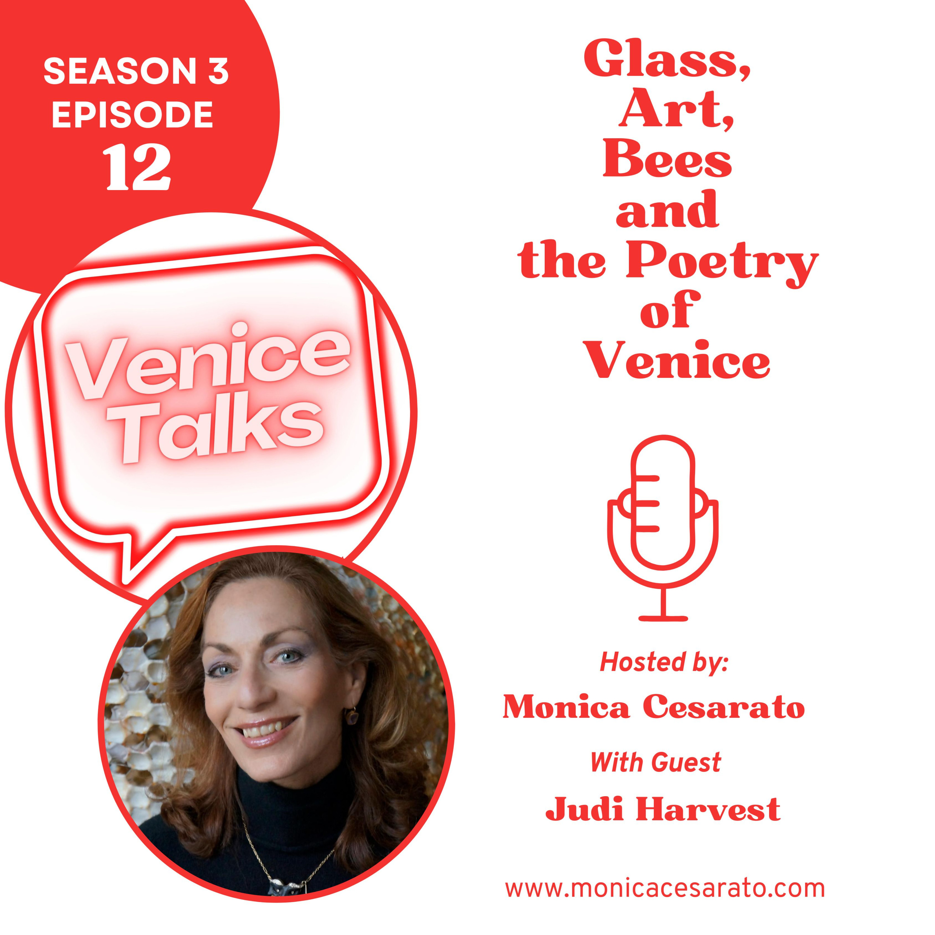 S3 Ep.12 - When Art Pollinates a City. A chat with Judi Harvest