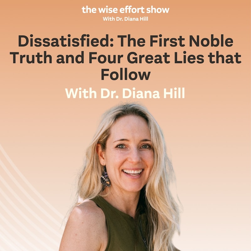 Artwork for podcast The Wise Effort Show