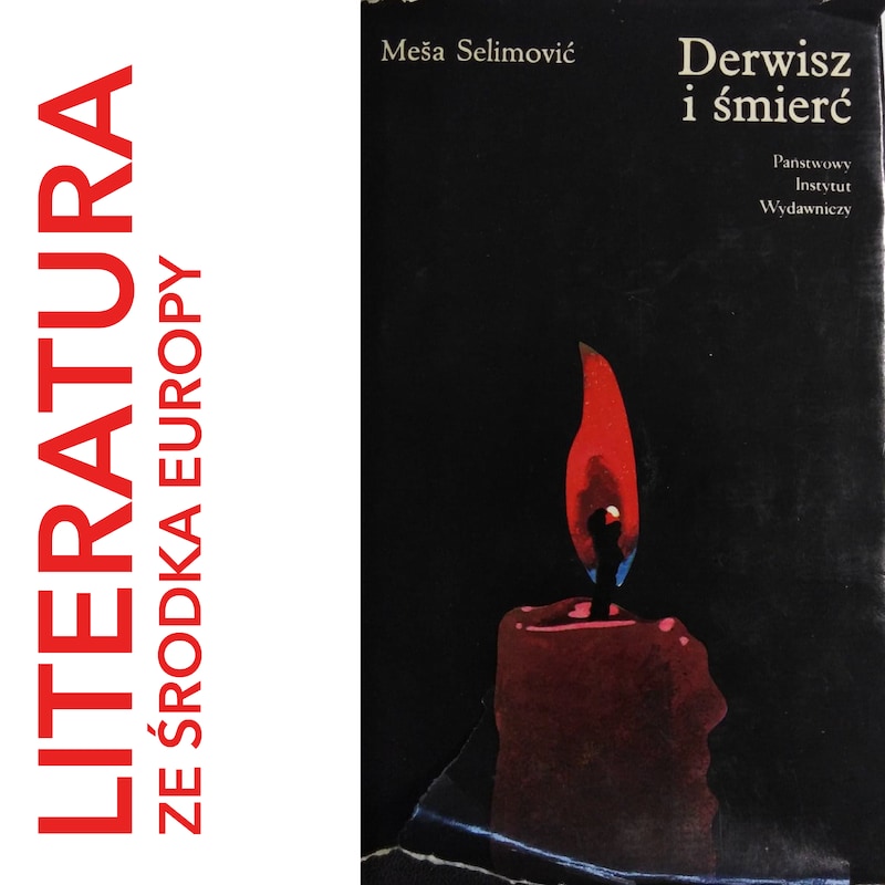 Artwork for podcast Literatura ze środka Europy