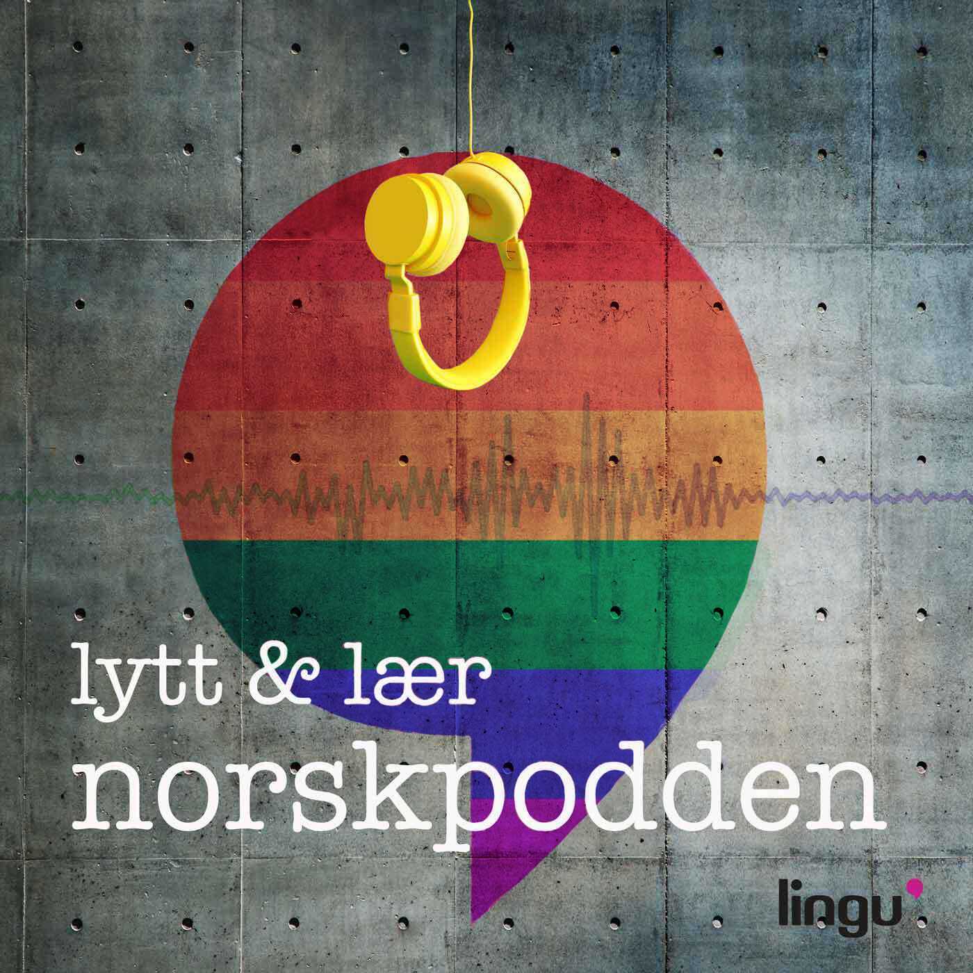 Artwork for podcast Norskpodden
