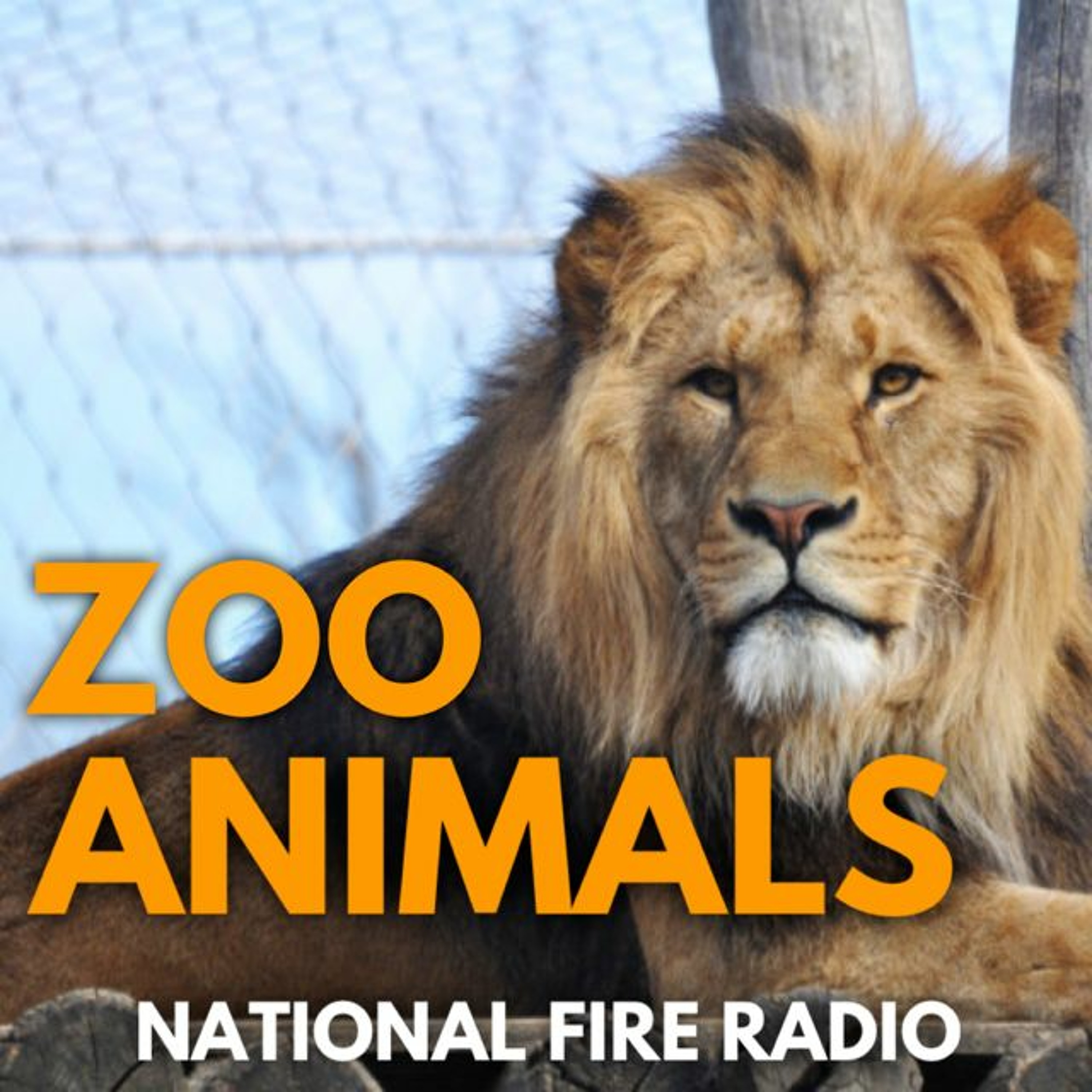 National Fire Radio Podcast Platform