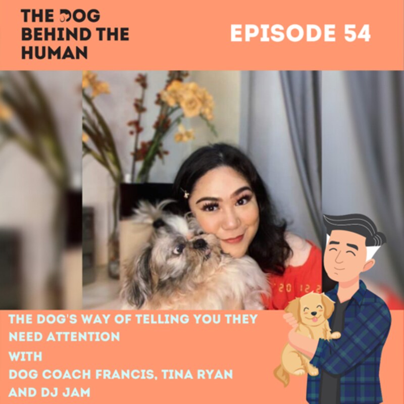 Artwork for podcast The Dog Behind The Human