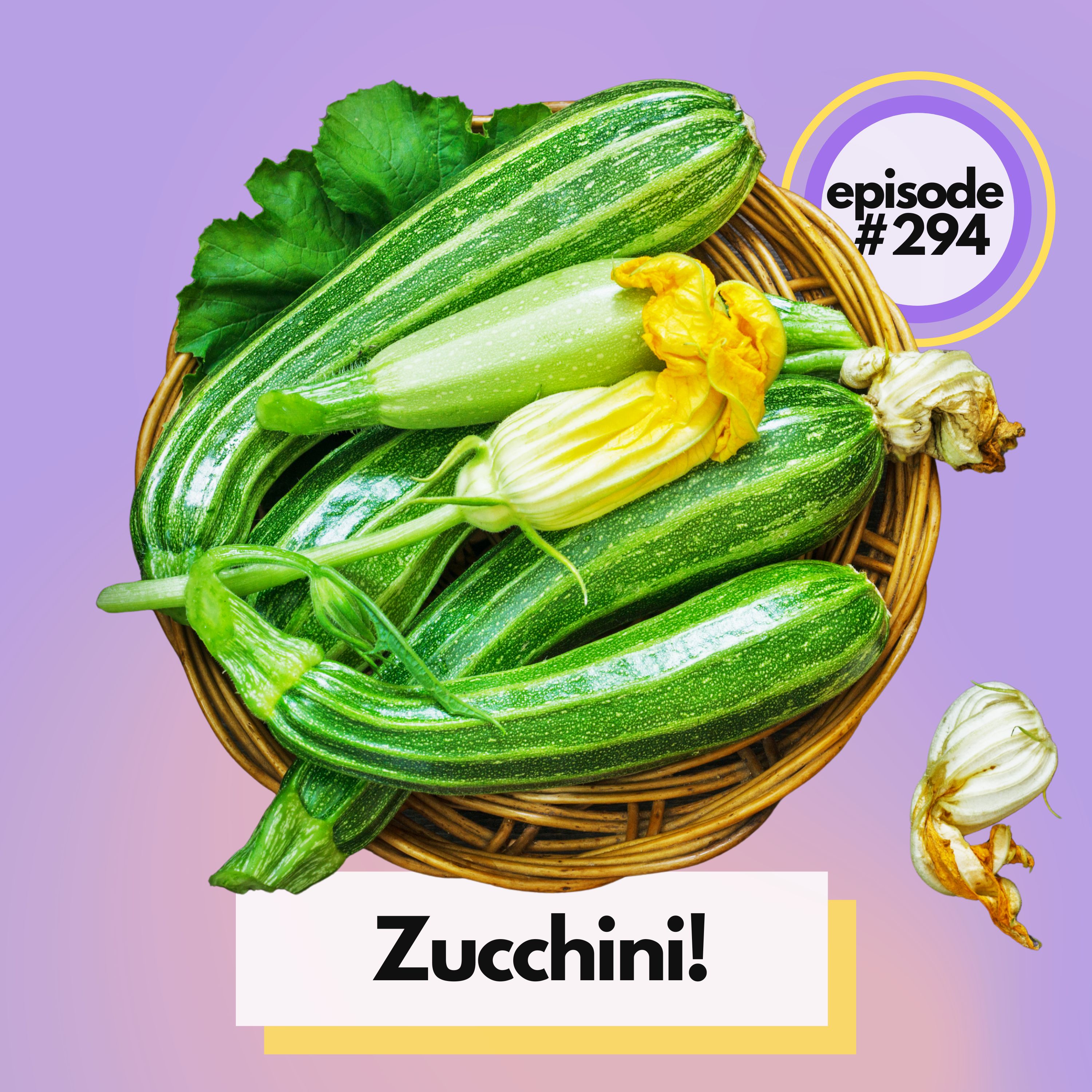 What Do You Do With All The Zucchini? Cooking Seasonal Summer Recipes