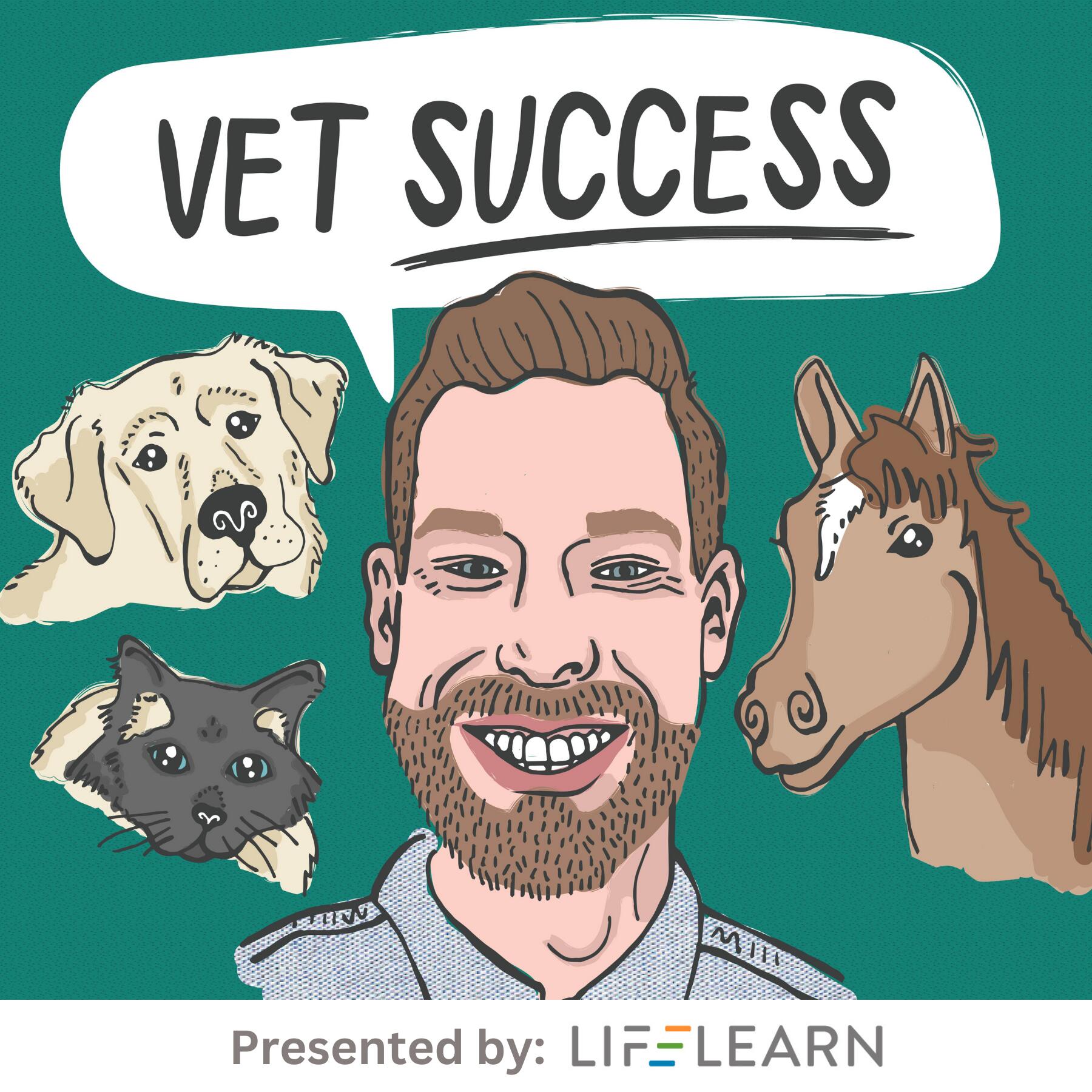 Show artwork for The Veterinarian Success Podcast