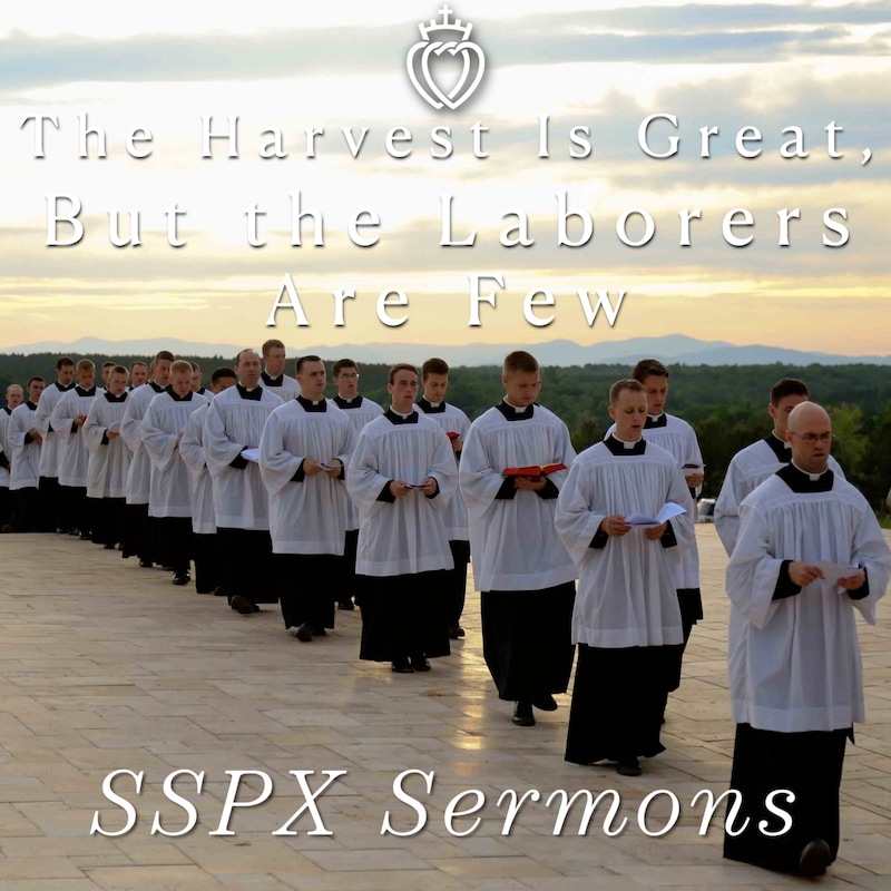 Artwork for podcast SSPX Sermons