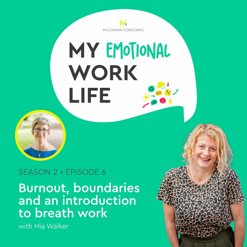 Artwork for podcast My Emotional Work Life