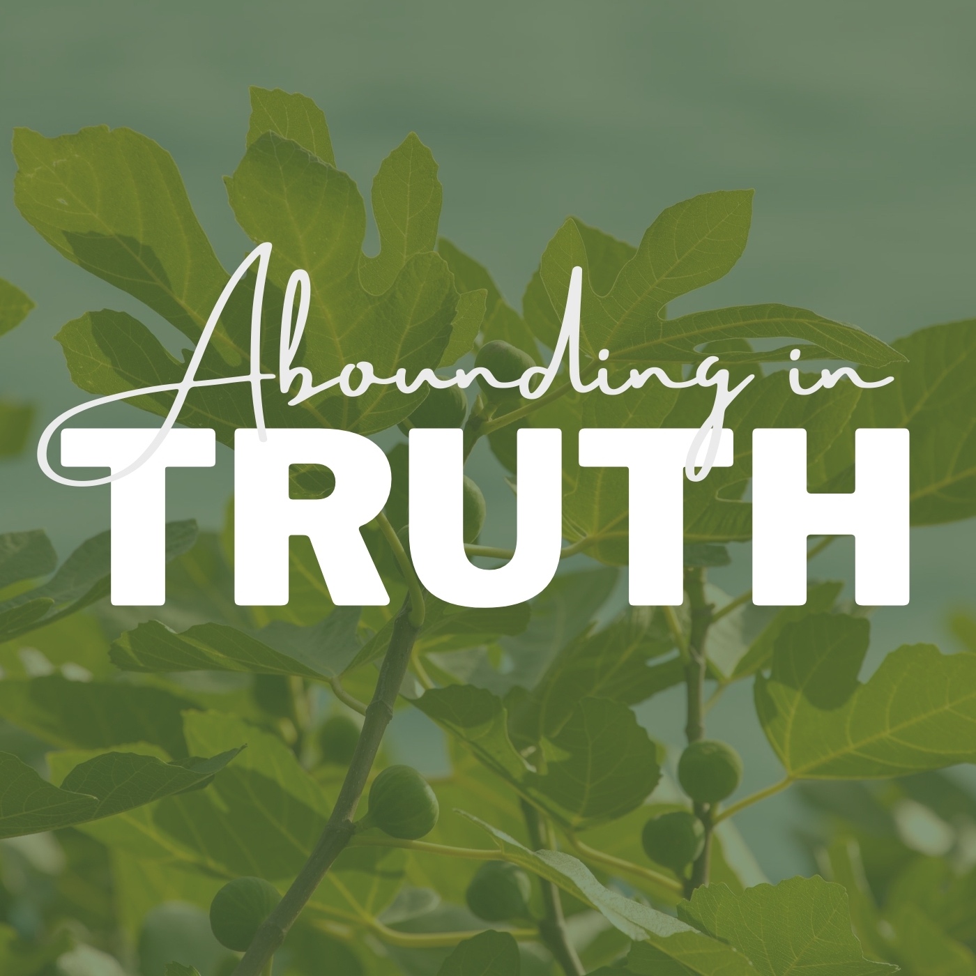Artwork for Abounding In Truth