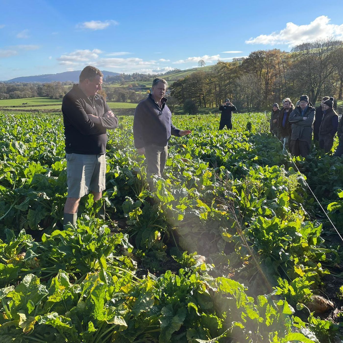AHDB Food & Farming