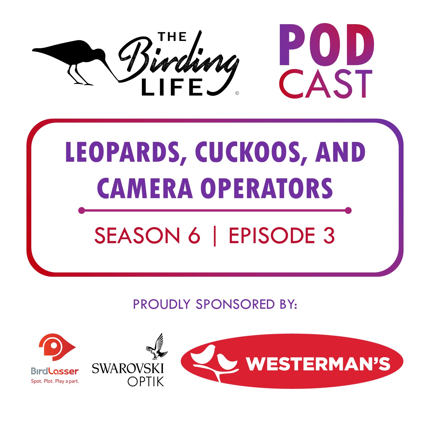 Season 6 Episode 3 - Leopards, Cuckoos, and Camera Operators