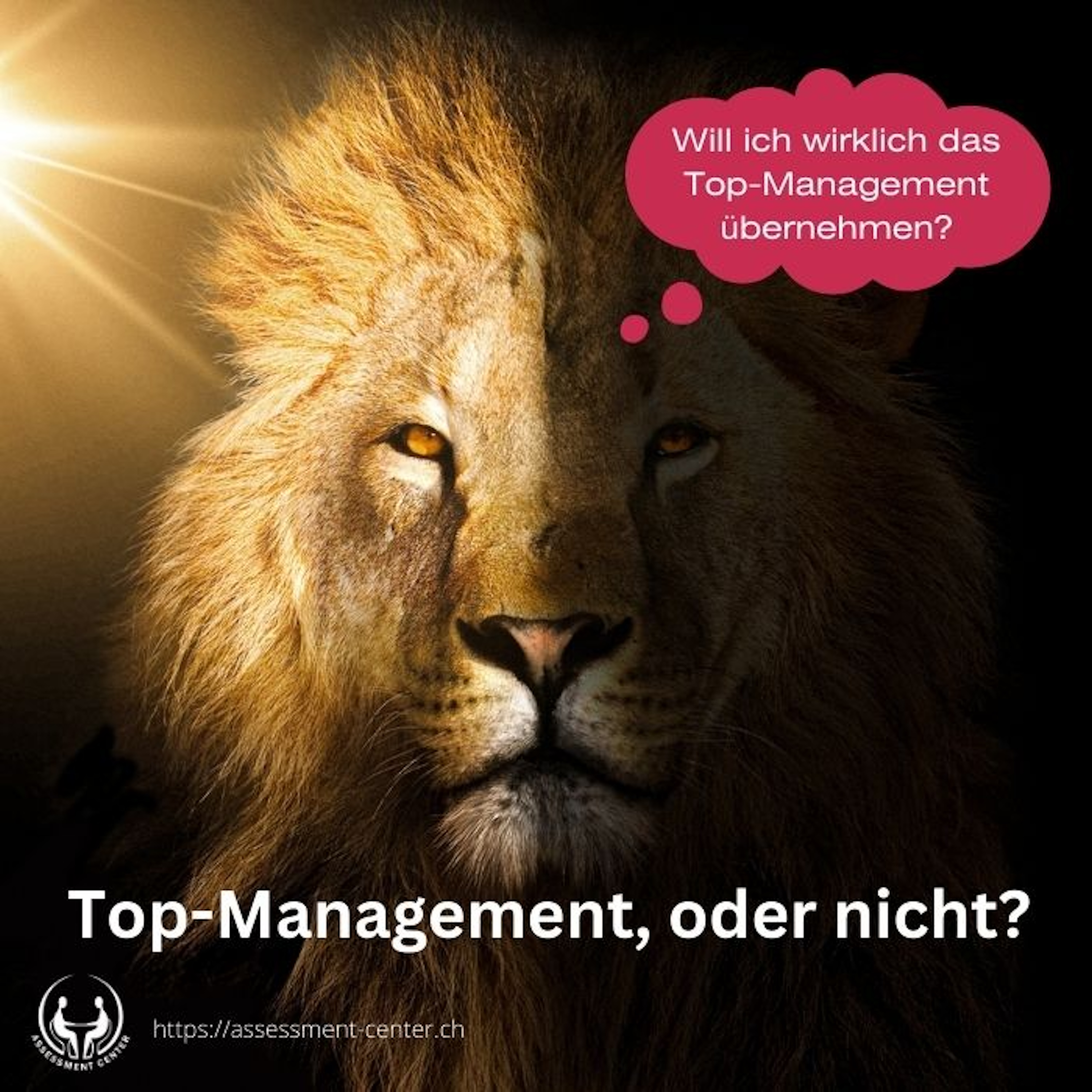 Erfolgreich im Assessment-Center I Führungskräfte I Management