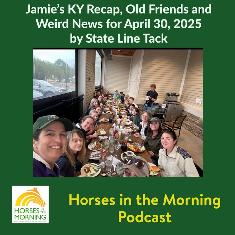 Artwork for podcast Horses in the Morning