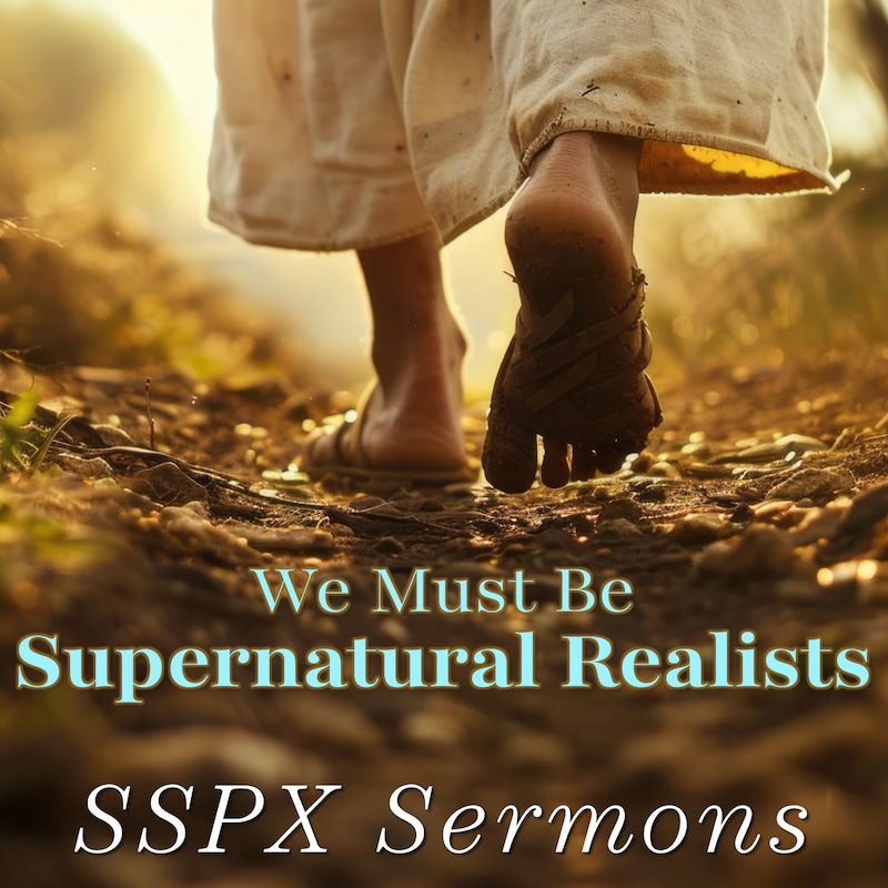 Artwork for podcast SSPX Sermons