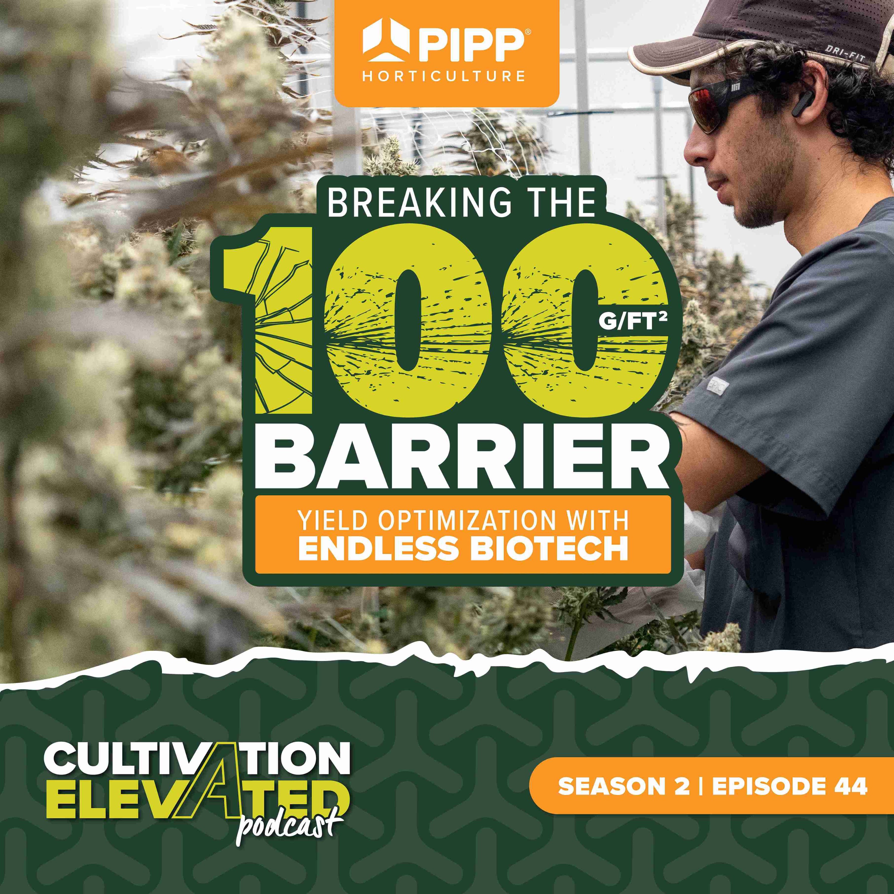 Cultivation Elevated - Indoor Farming, Cannabis Growers & Cultivators - Pipp Horticulture