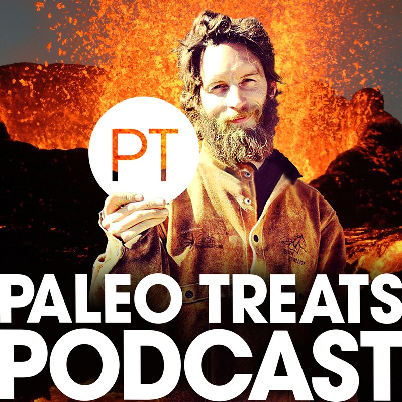 Artwork for podcast The Nik Hawks Show