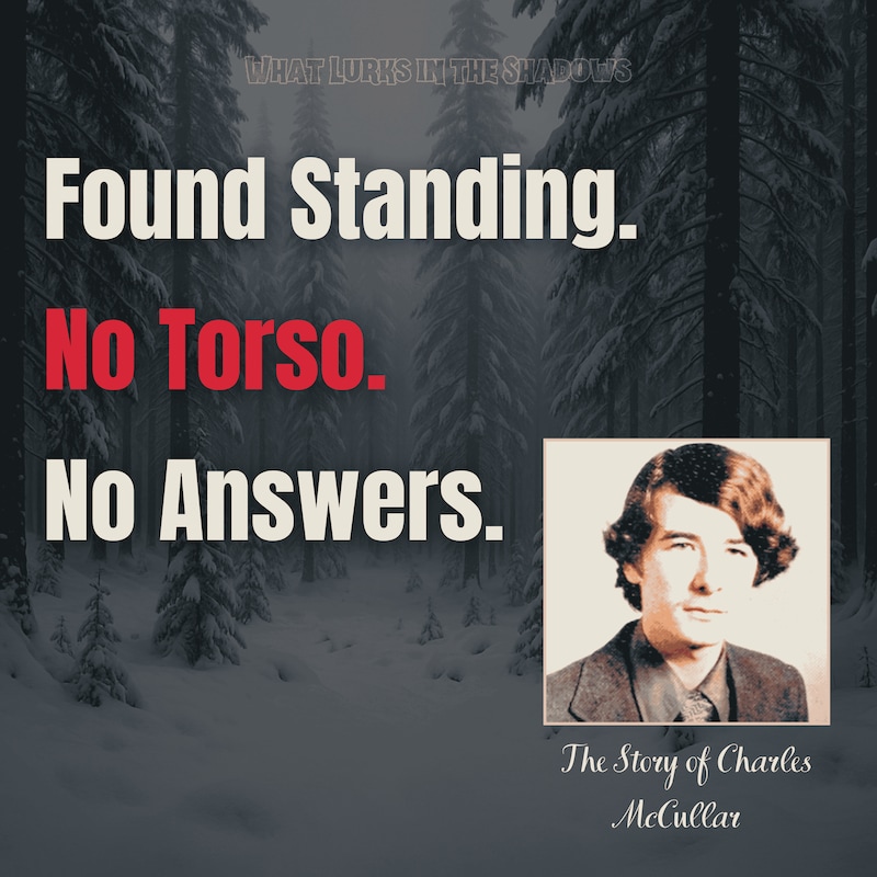 Artwork for podcast What Lurks in the Shadows