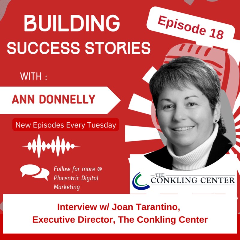 Artwork for podcast Building Success Stories with Ann Donnelly