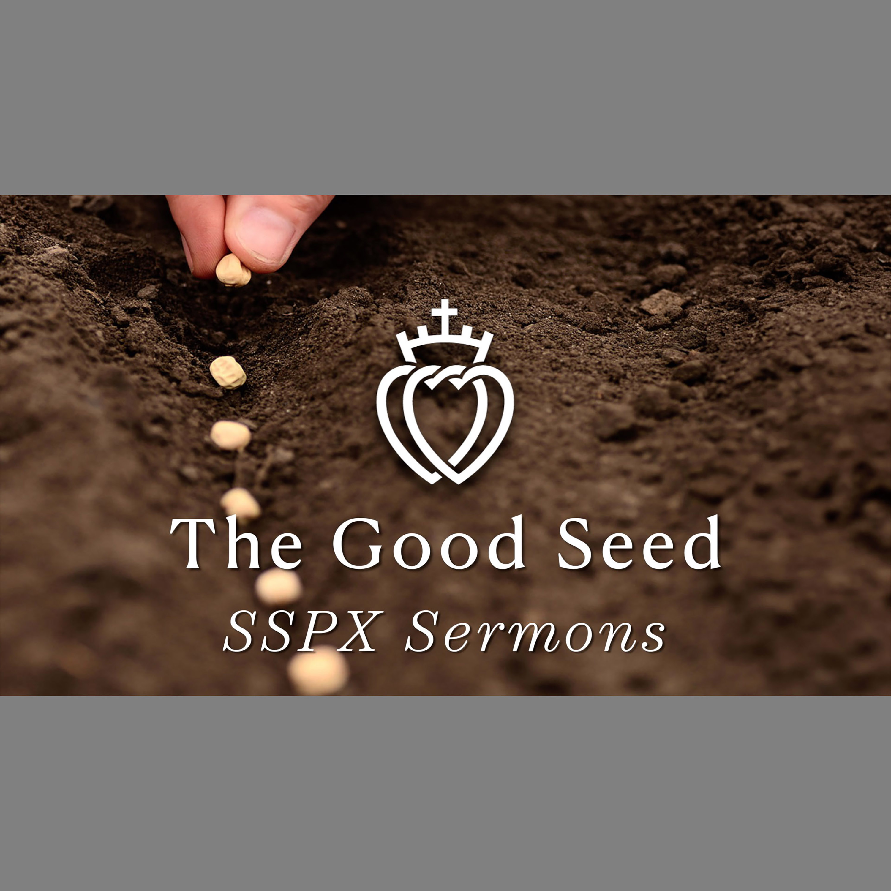 The Good Seed - SSPX Sermons