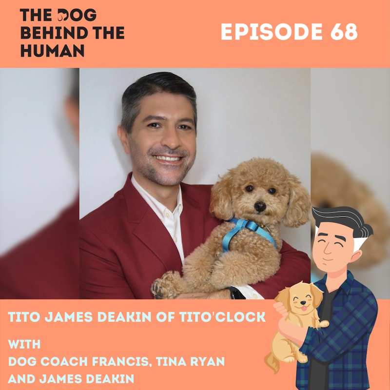 Artwork for podcast The Dog Behind The Human