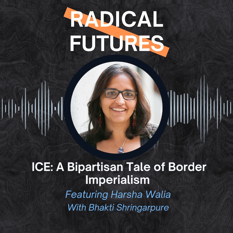 Artwork for podcast Radical Futures