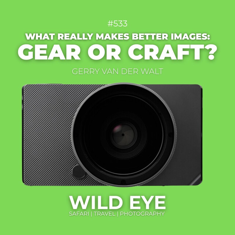 Artwork for podcast The Wild Eye Podcast