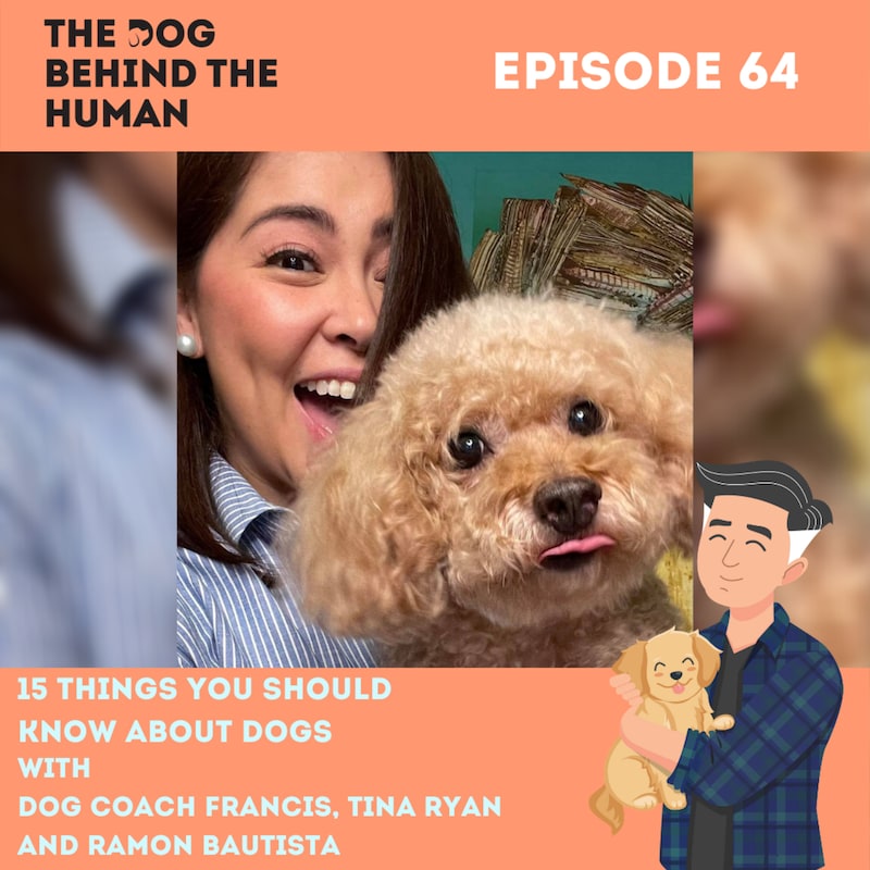 Artwork for podcast The Dog Behind The Human