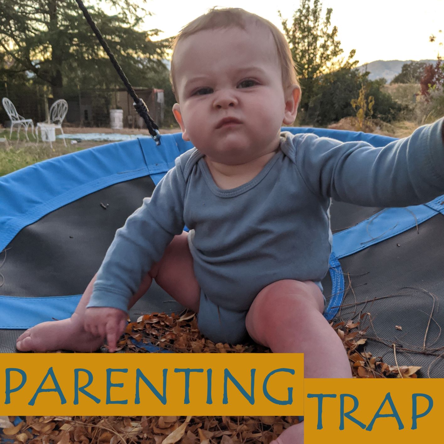 Artwork for Parenting Trap