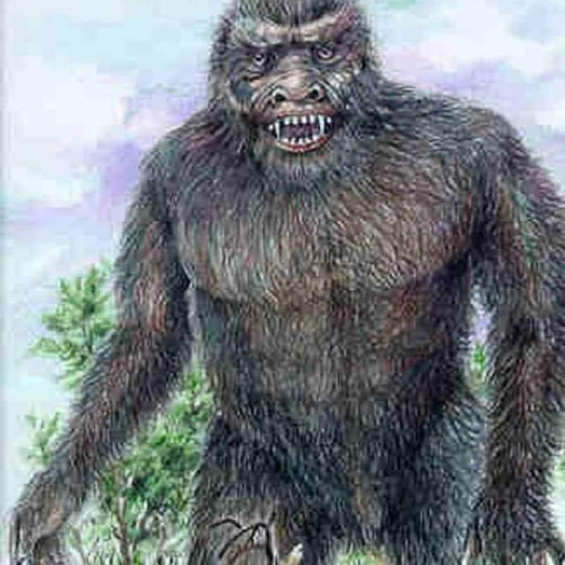 Artwork for podcast Pursuit of the Paranormal