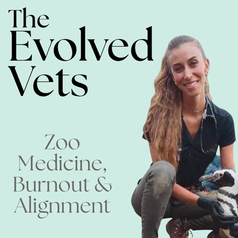 Artwork for podcast The Evolved Vets