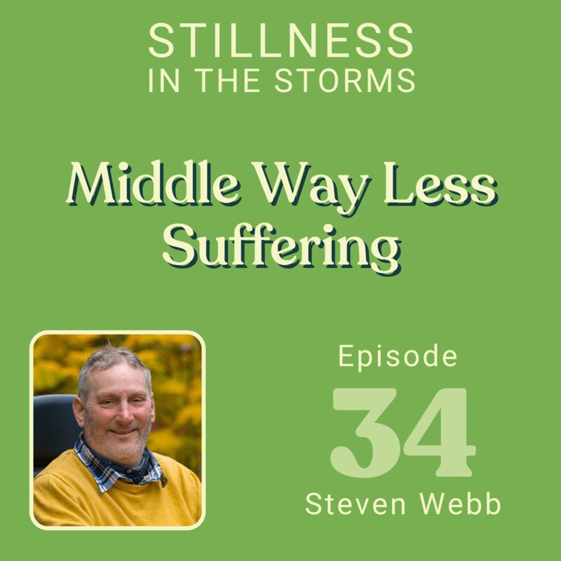 Artwork for podcast Stillness in the Storms