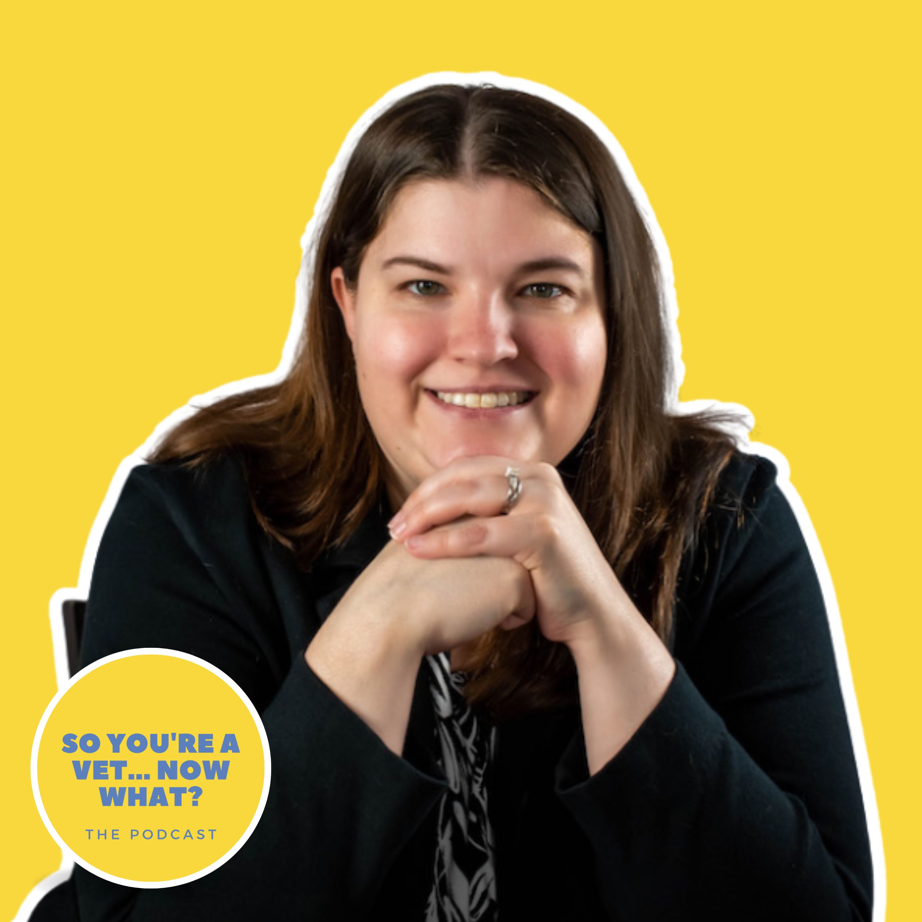 The \'So You\'re A Vet... Now What?\' Podcast