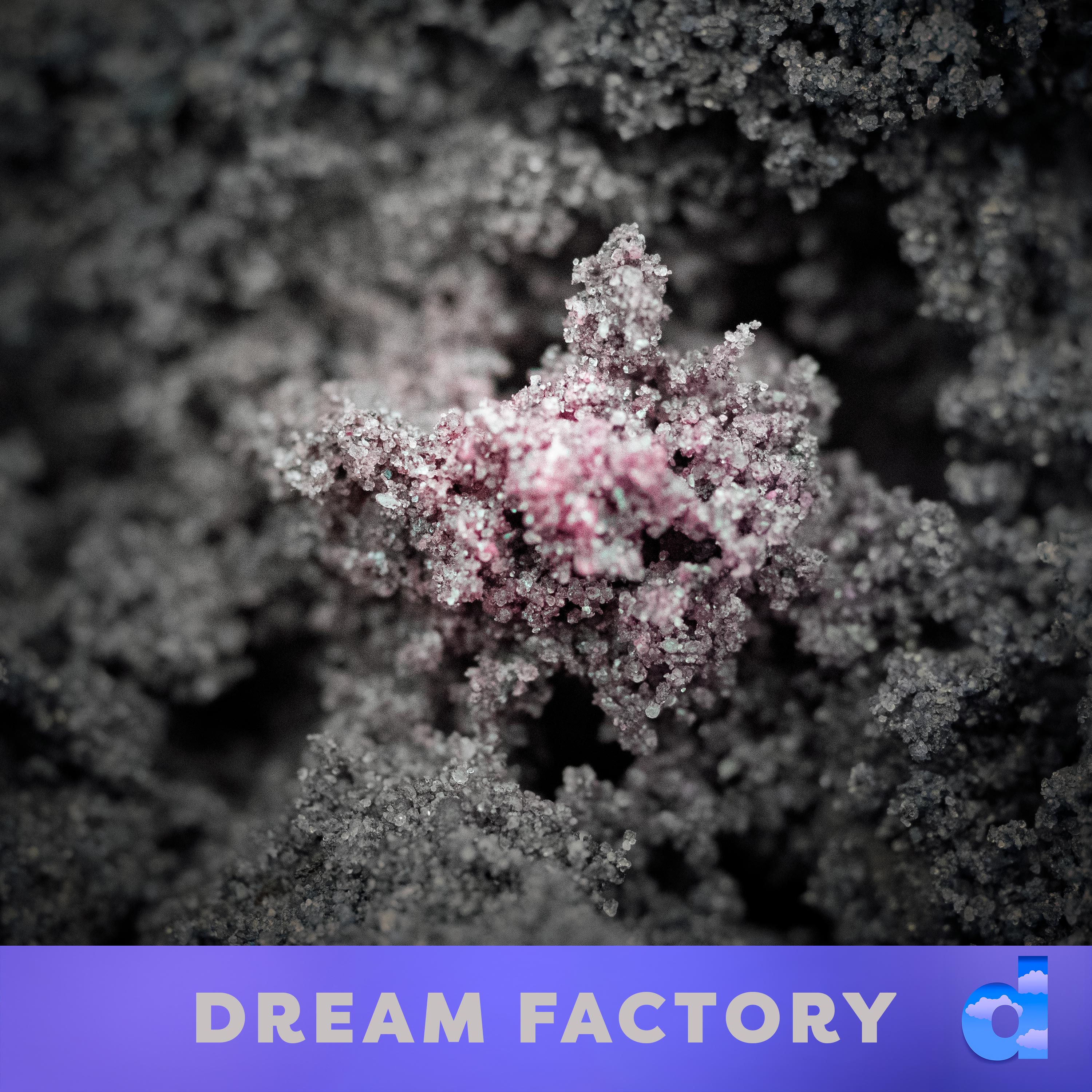 Dream Factory DK