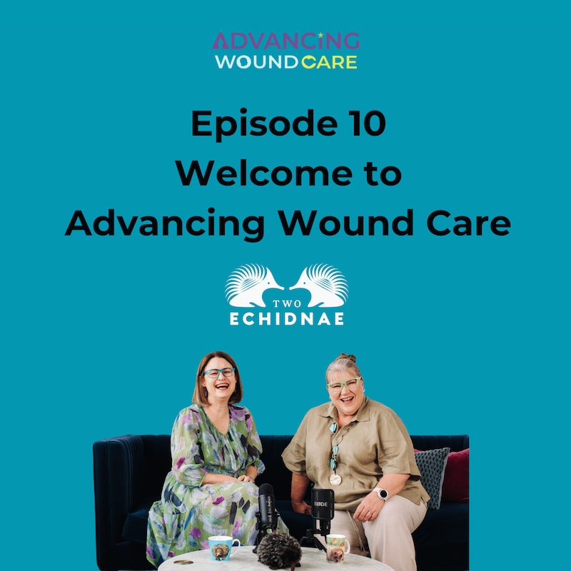 Artwork for podcast Two Echidnae Podcast from Advancing Wound Care