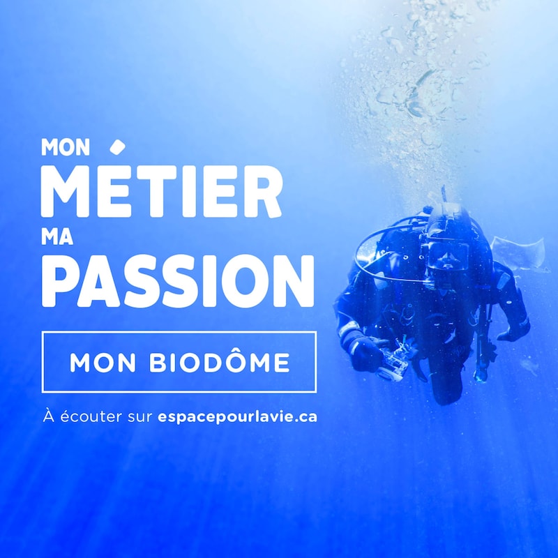 Artwork for podcast Mon métier, ma passion, mon Biodôme