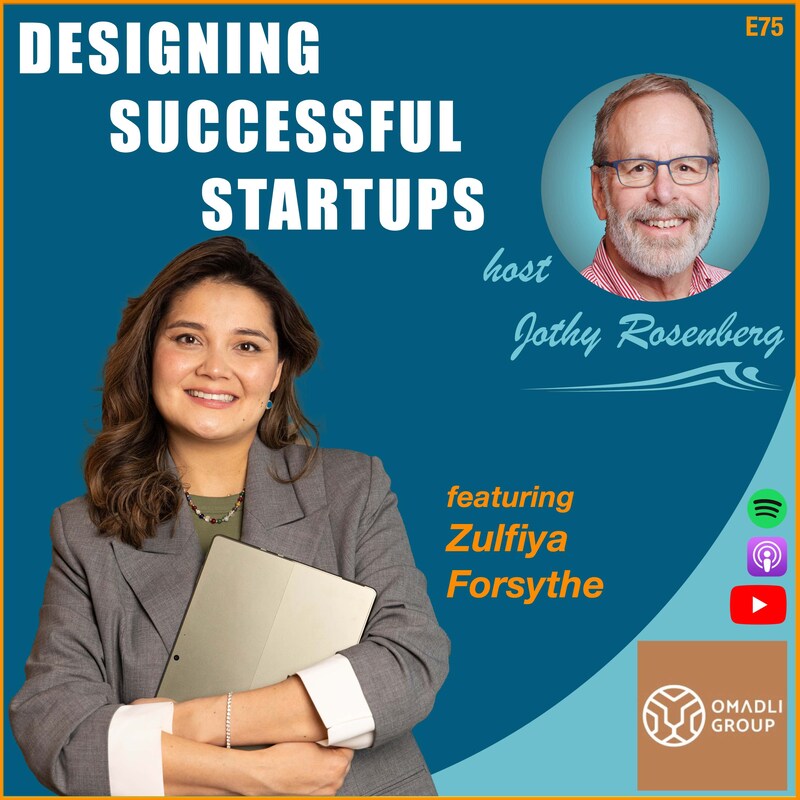 Artwork for podcast Designing Successful Startups