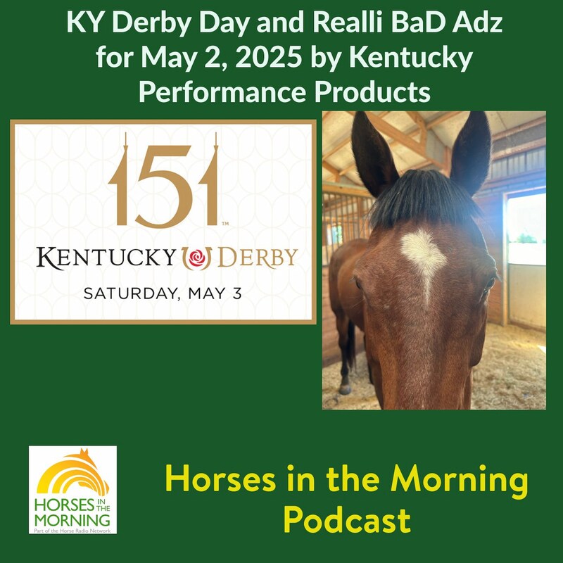 Artwork for podcast HORSES IN THE MORNING