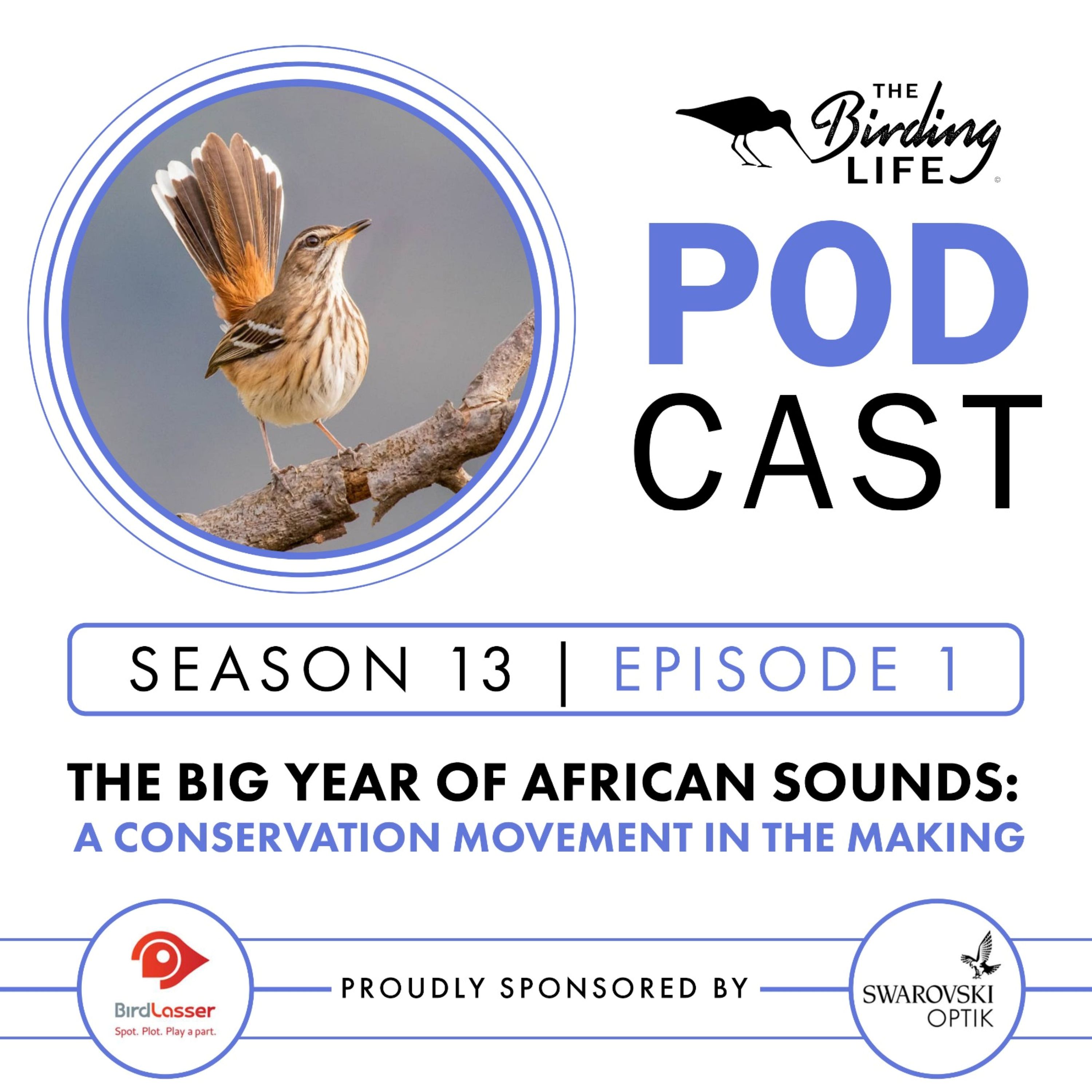 TBL Podcast - Season 13 Episode 1 - The Big Year of African Sounds: A Conservation Movement in the Making