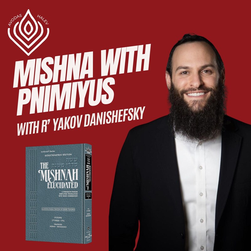 Artwork for podcast Avodas HaLev