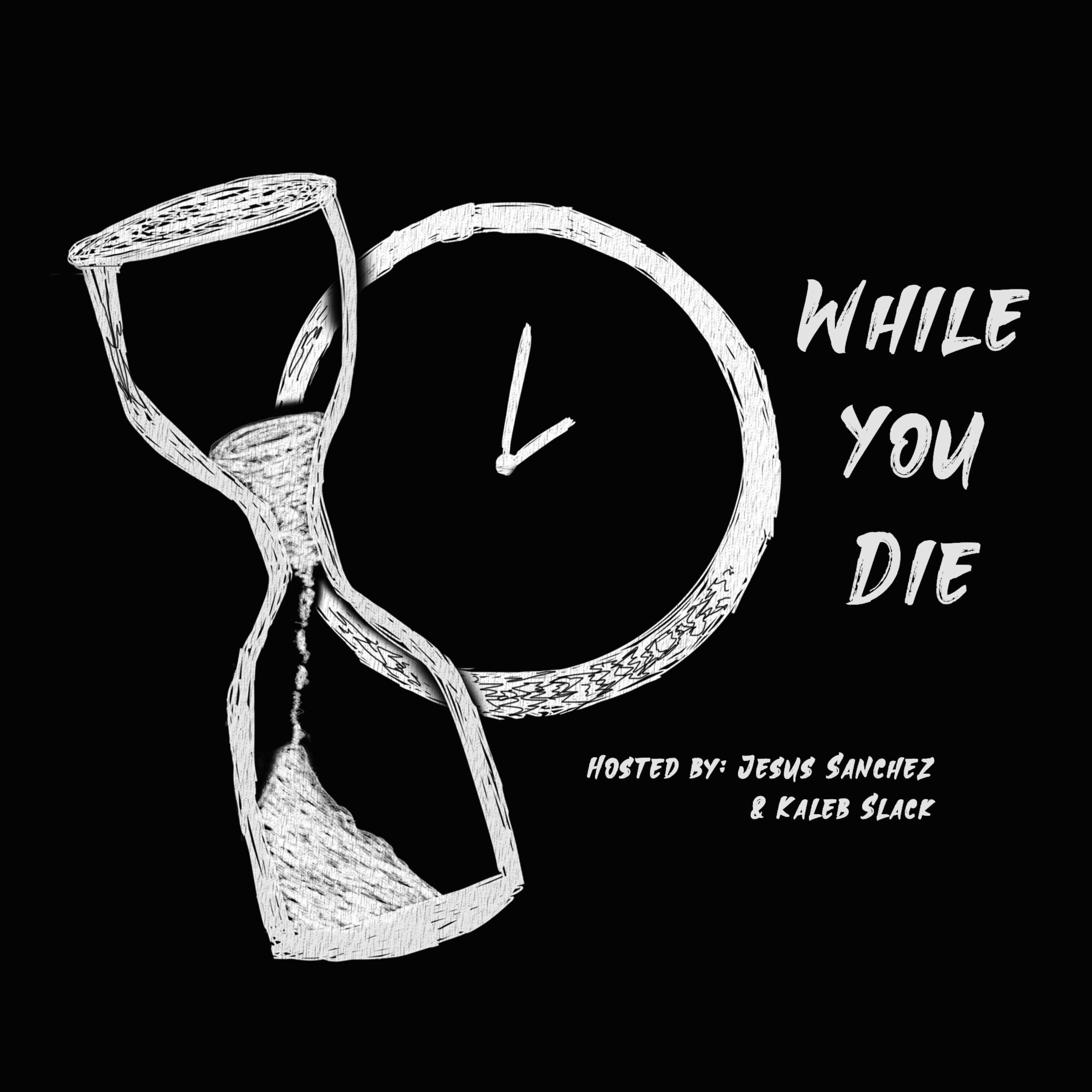 Show artwork for While You Die