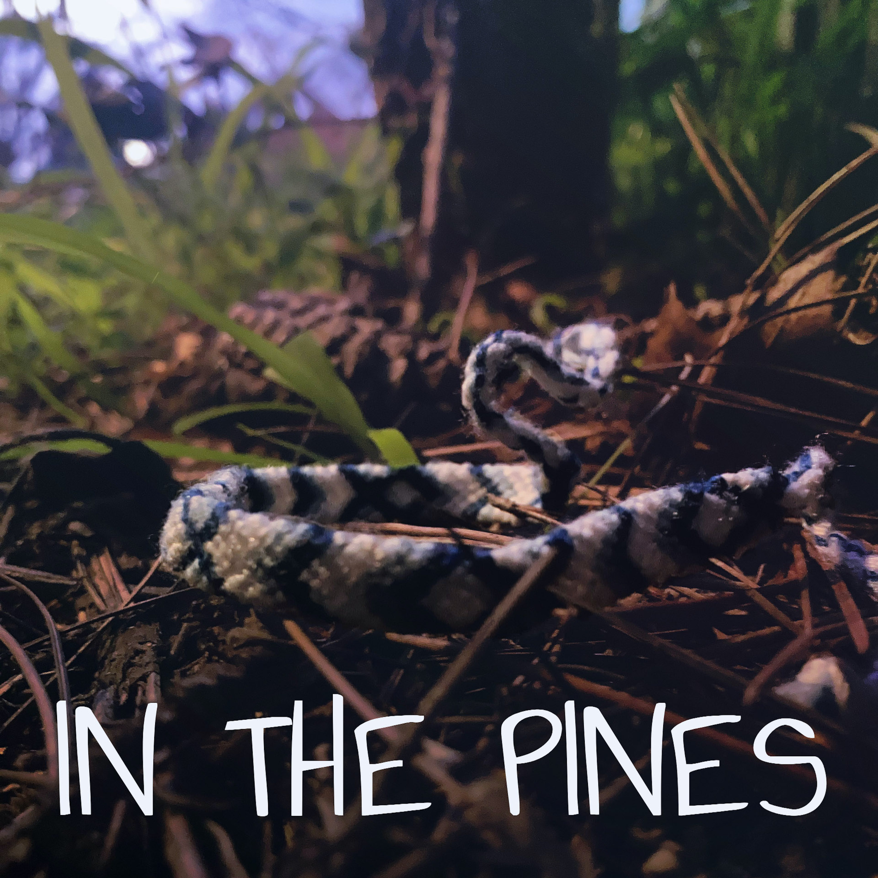 Artwork for In the Pines