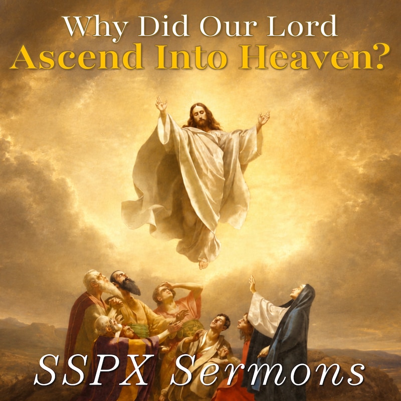 Artwork for podcast SSPX Sermons