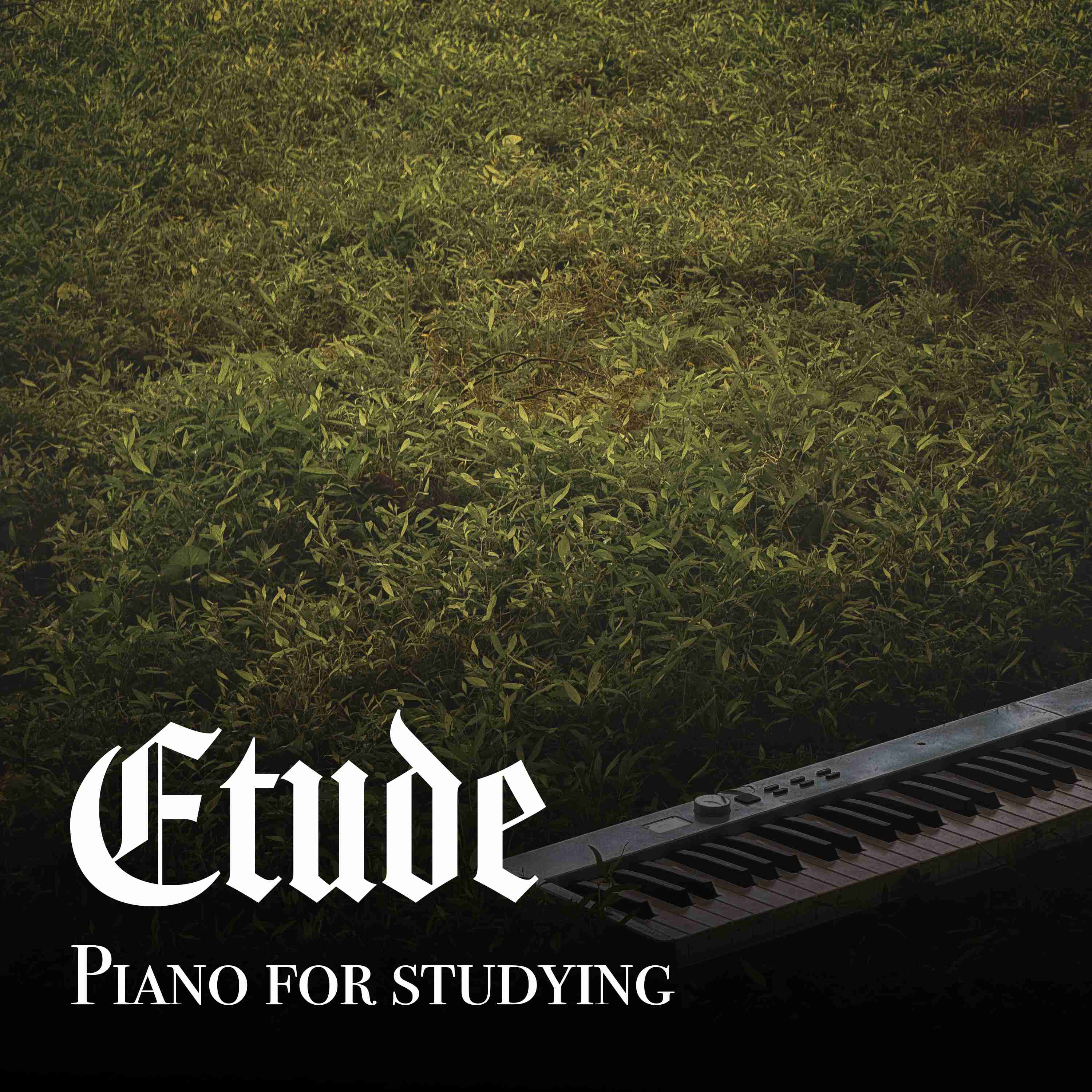 Piano for Exam Prep with Summer Crickets - 8 Hours - "Mount Moon"