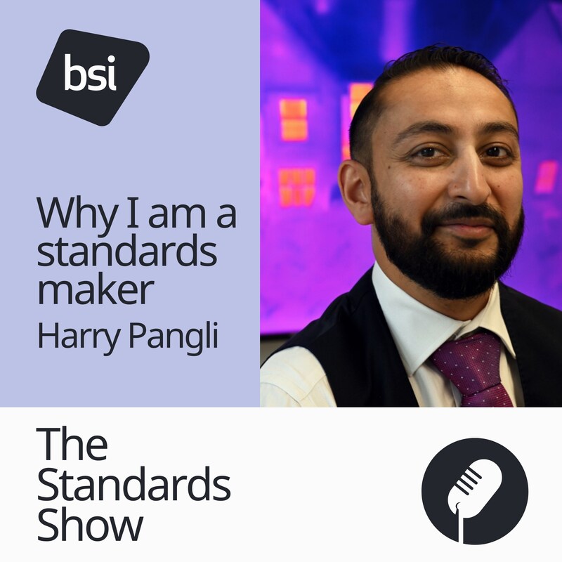 Artwork for podcast The Standards Show